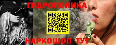 прущие крисы Краснокаменск