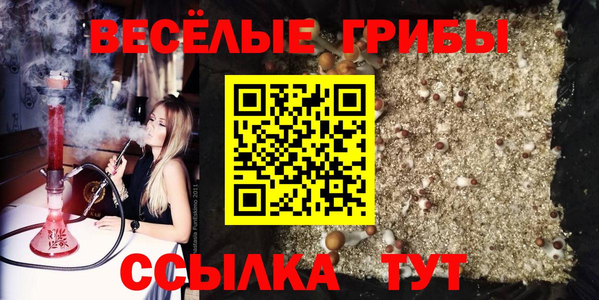 Кизилюрт  продажа наркотиков  Вход с VPN  Галлюциногенные грибы Psilocybine cubensis 